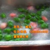 蔬菜清洗線|凈菜加工設(shè)備|哪家好？|諸城市食品機(jī)械