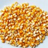 現(xiàn)款采購(gòu)玉米、小麥、高粱、大米等釀酒原料