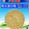供應(yīng)豌豆蛋白粉，飼料添加劑，飼料原料，畜牧養(yǎng)殖飼料