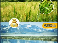 東莞青稞酒, 天佑德青稞酒優(yōu)惠促銷2022旅游活動(dòng)開(kāi)啟了